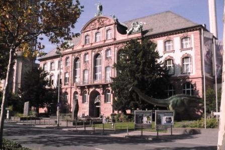 86-я Ежегодная конференция Немецкого общества млекопитающих