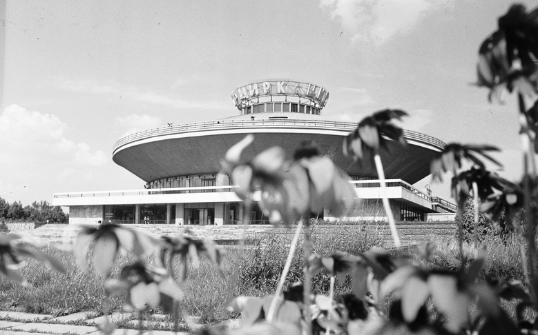 Цирк приехал!