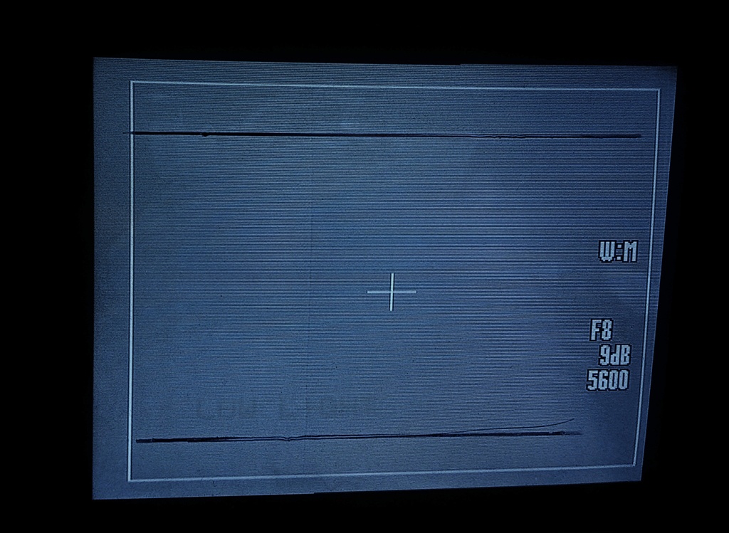 Надпись Low light в нижнем левом углу выгорела и навсегда остаалась на экране.jpg
