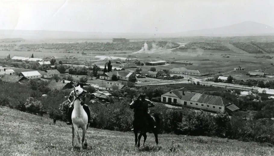 Терский конезавод 1975 г..jpg