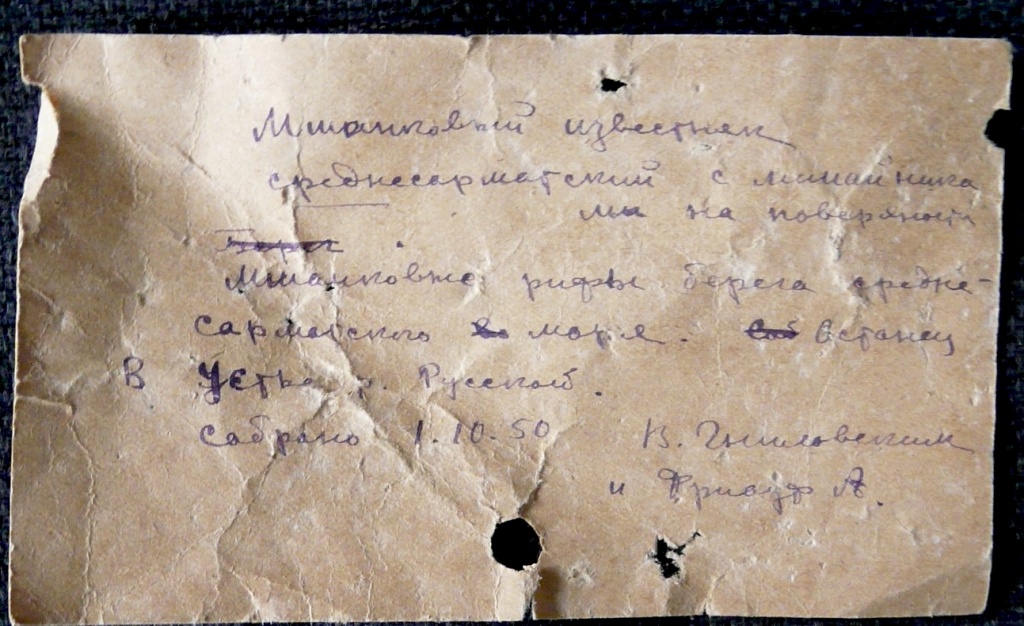 Фото 12 Этикетка.JPG