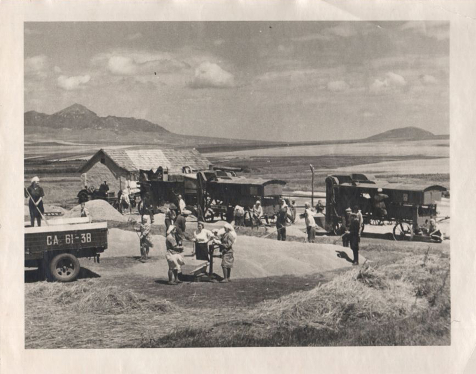 Фото 6 На току. Колхоз им. Молотова Ессентукского района. На горизонте лакколиты Кавминвод. 1950 г..jpg