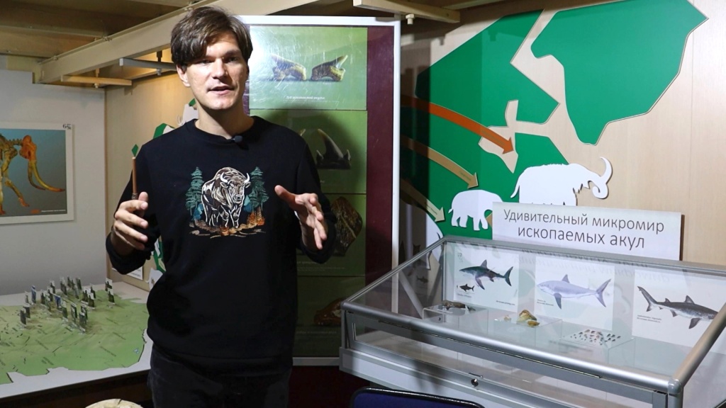 Уникальный микромир ископаемых акул