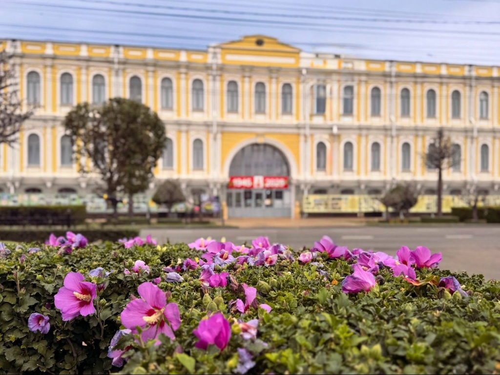 День города и края в музее