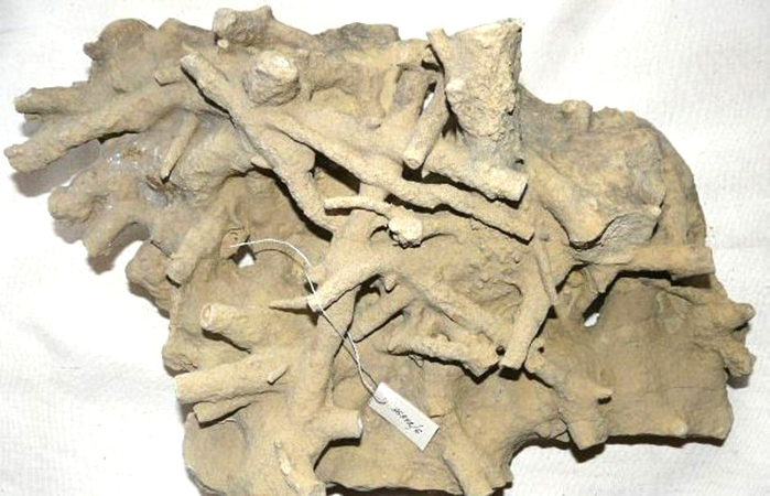 (8) бешпагирские.JPG