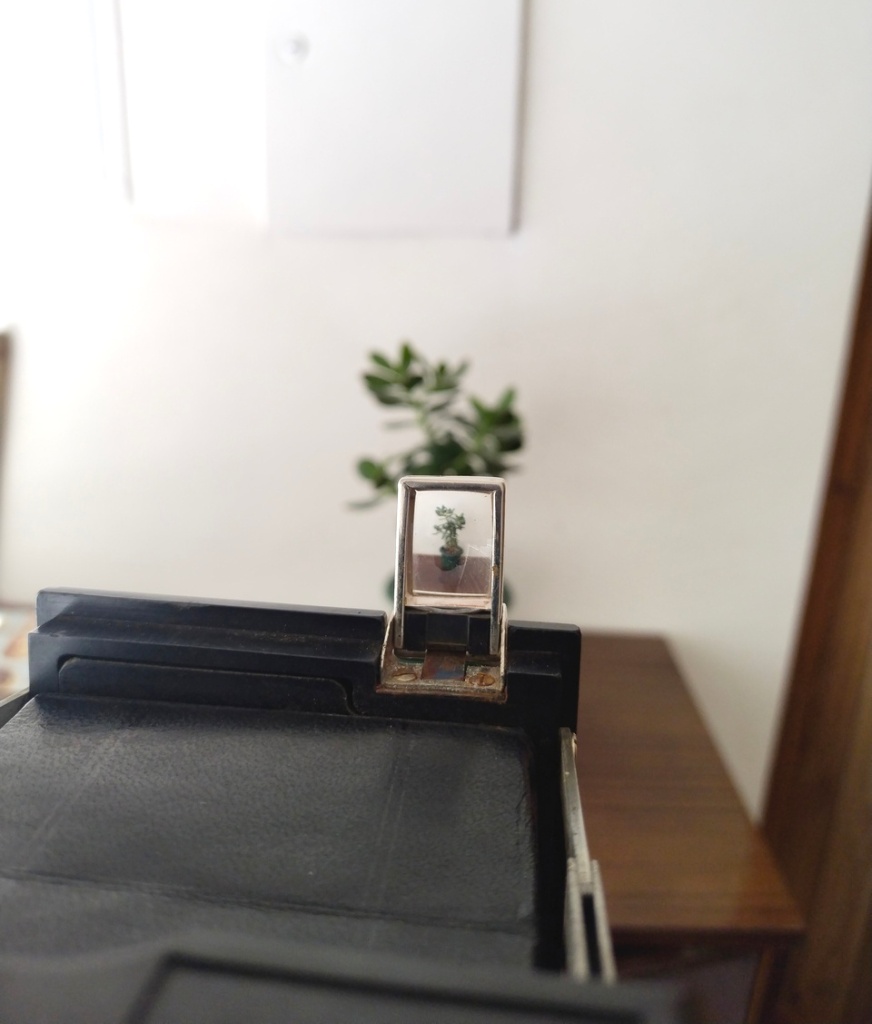 С помощью внешнего оптического видоискателя можно выбрать сюжет для будущей фотографии.jpg