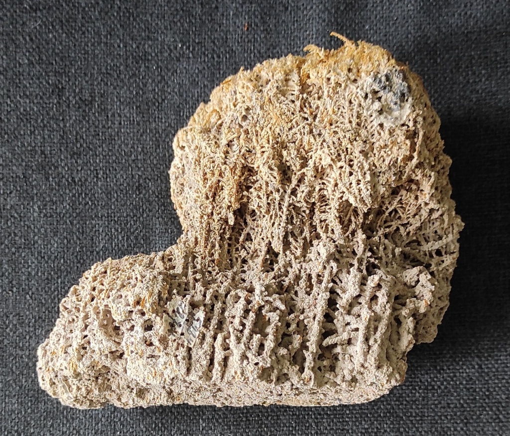 Фото 10 Моховой травертин.jpg