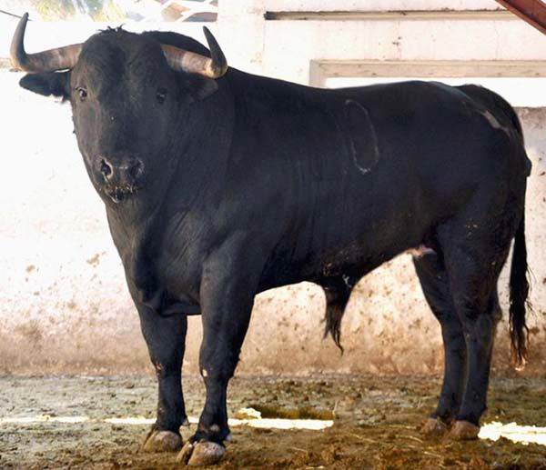 Рис. 4-2. Лидийский боевой бык.jpg