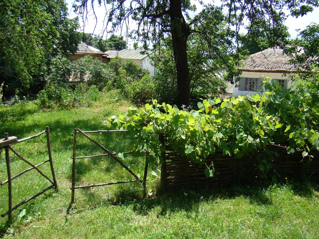 Плетень у дома Лермонтова1.jpg