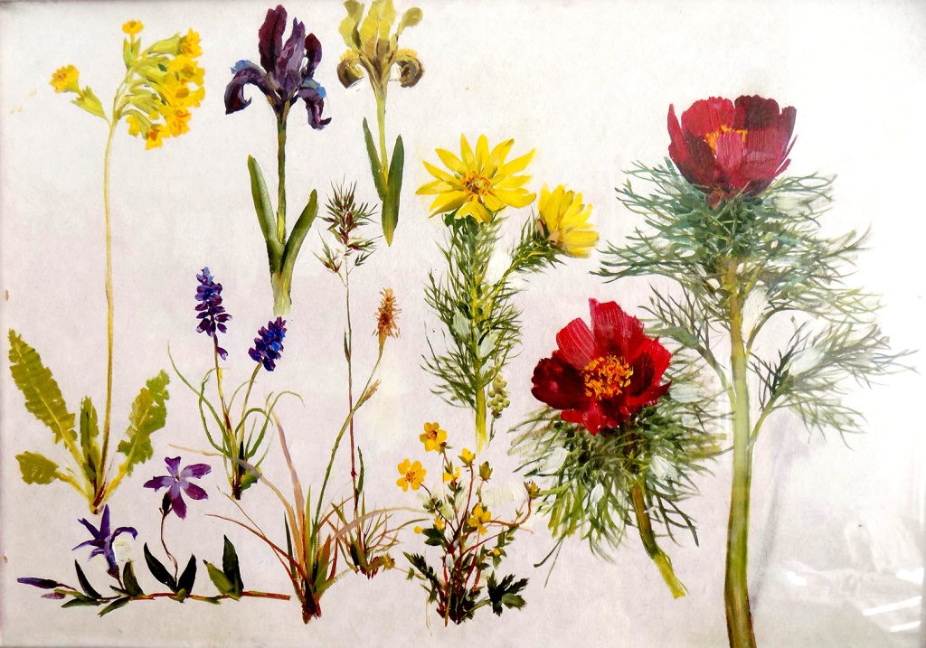 Гречишкин П.М. Этюд. Весенняя флора. 1960-е гг..jpg