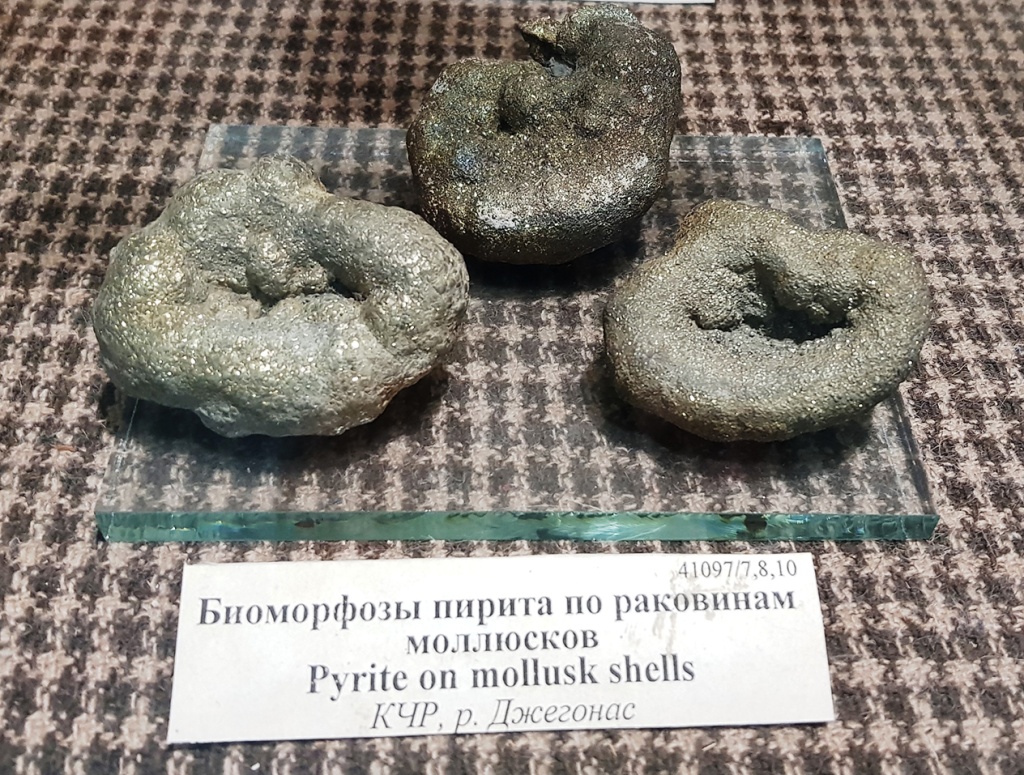 Пирит найденный в ущелье Джегонас.jpg