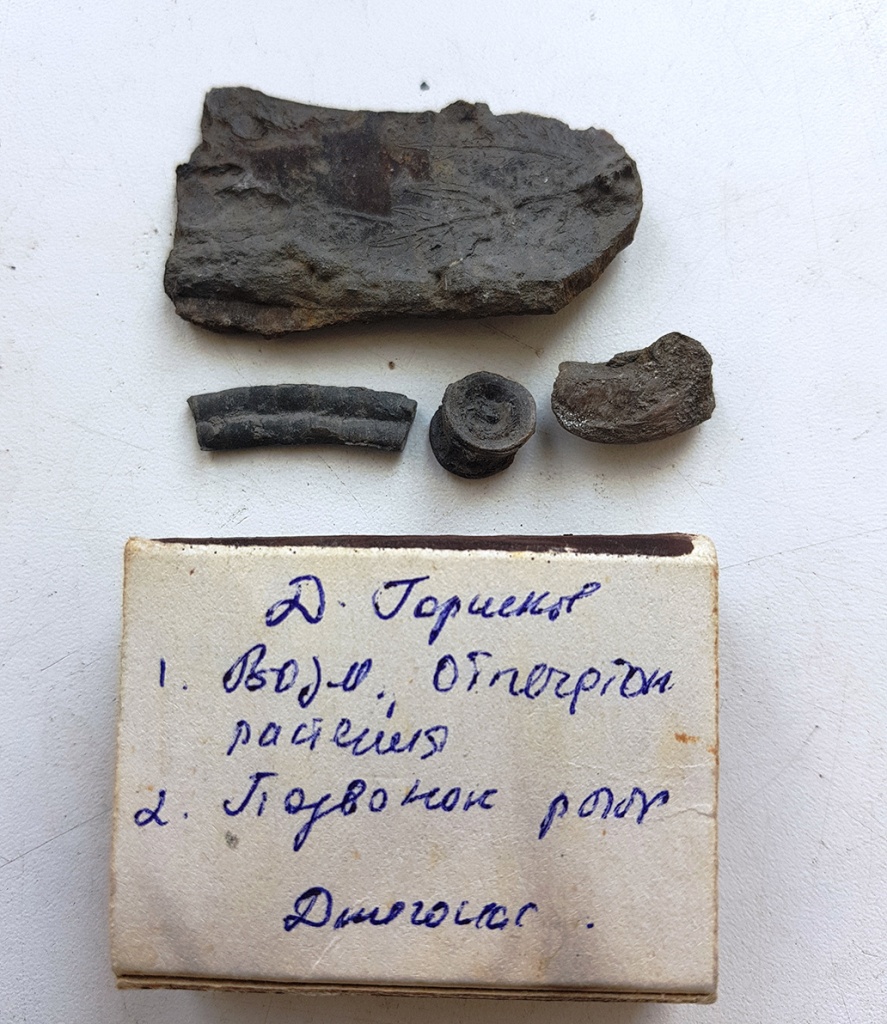 Предположительно отпечатки растений и позвонок рыбы. Сборы Д. Горшкова из ущ. Джегонас Карачая..jpg