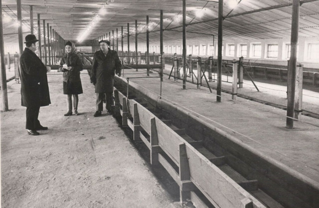 4 Н.Д. Терещенко лсматривает новую молочную ферму. 1981 г.jpg