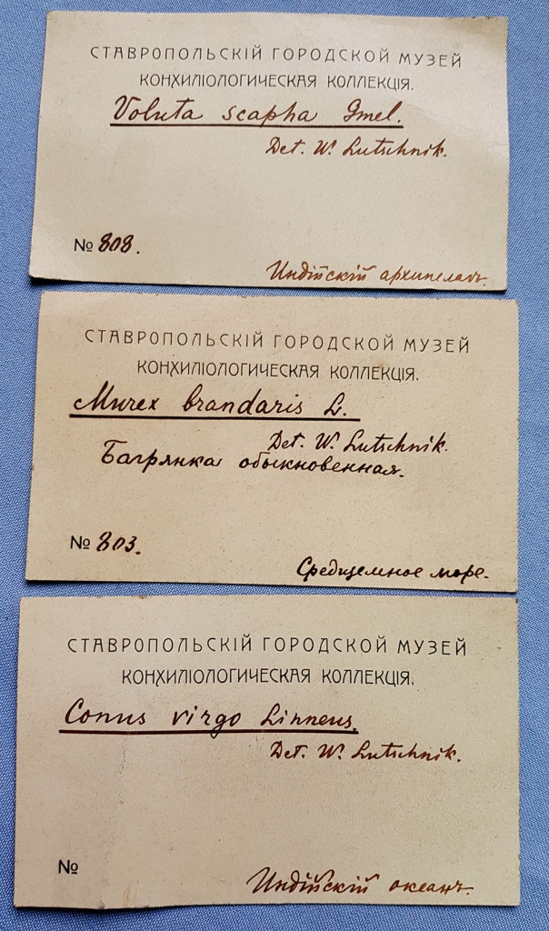 014 Этикетки энтомолога В.Н. Лучника.jpg