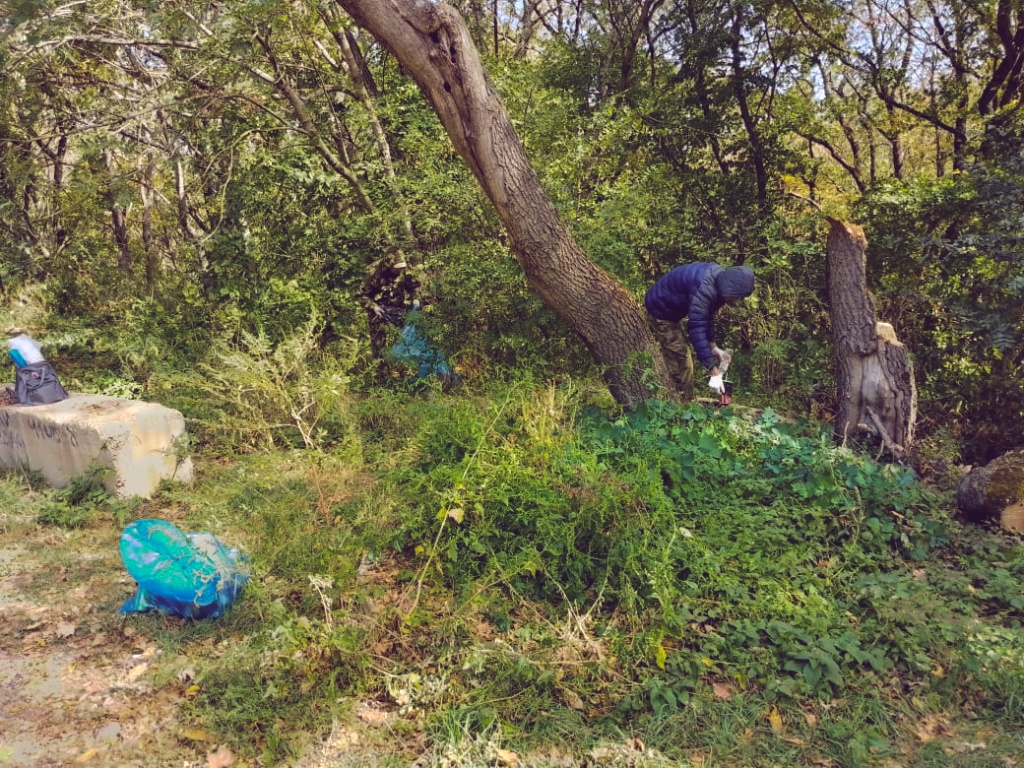 Субботник на Татарском городище