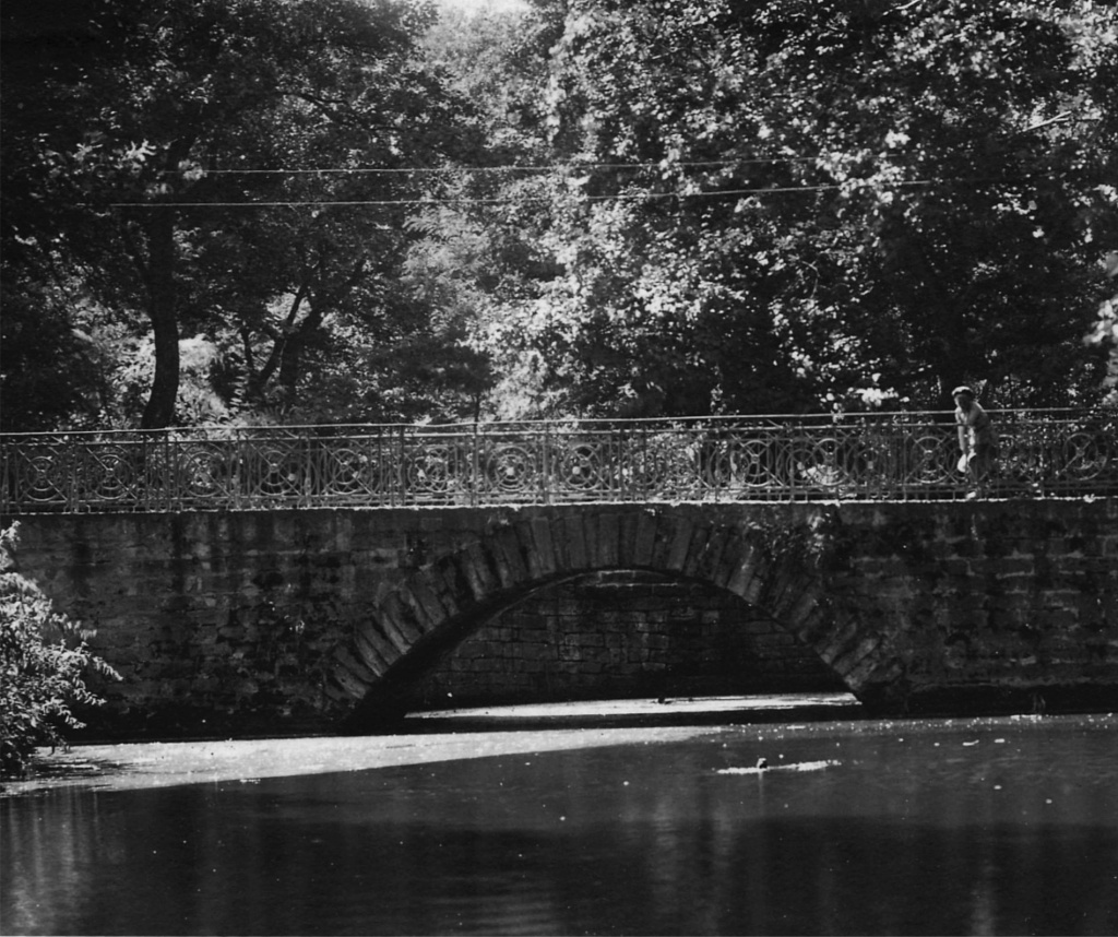 4. Ставрополь. Пруд в парке культуры и отдыха. Вид на гладь пруда и мостик с востока на запад. г. Ставрополь 1933 г..jpg