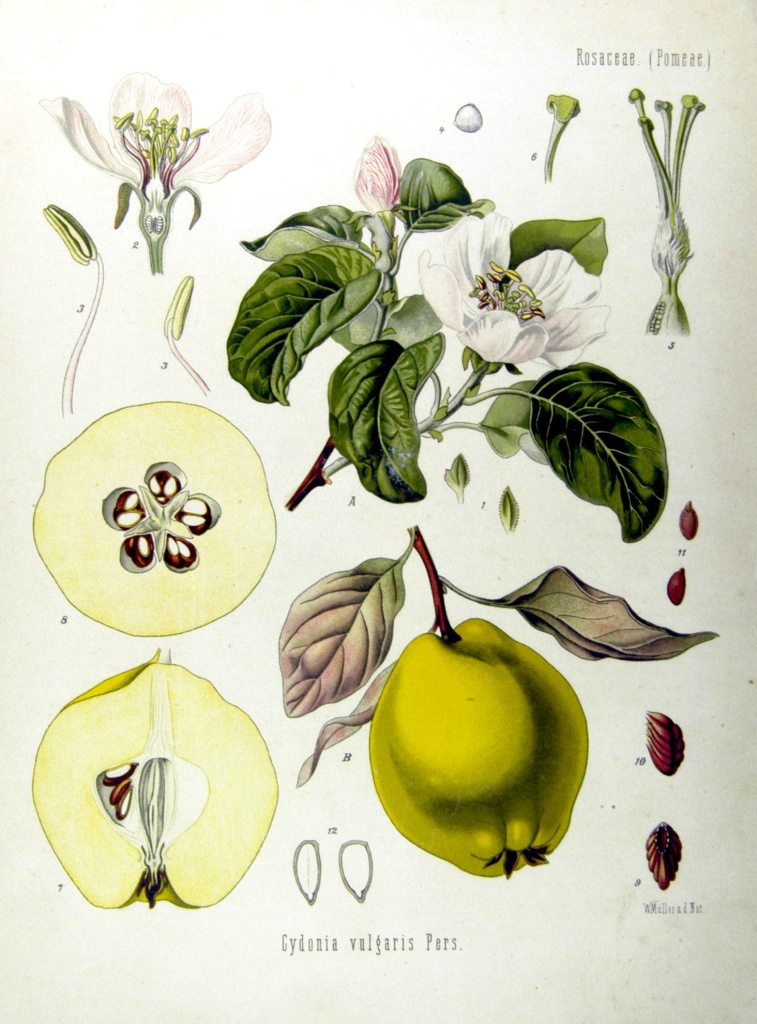 04 Источник ru.wikipedia.org.jpg