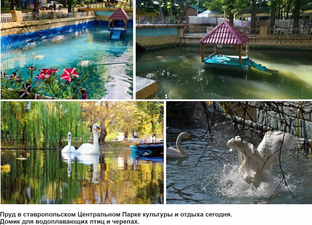 Фото 4.jpg