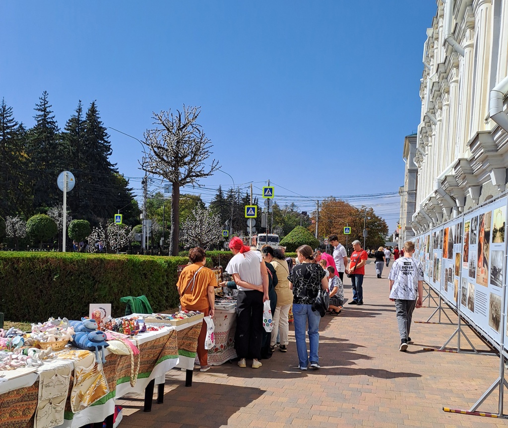 День города и края в музее