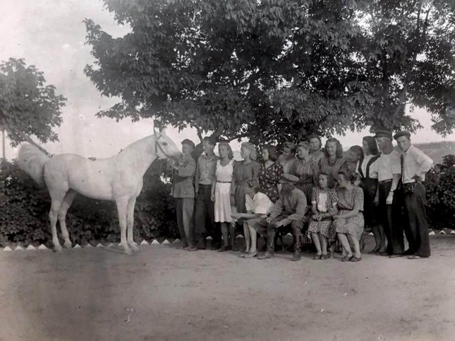 Терский конный завод 1959 г..jpg