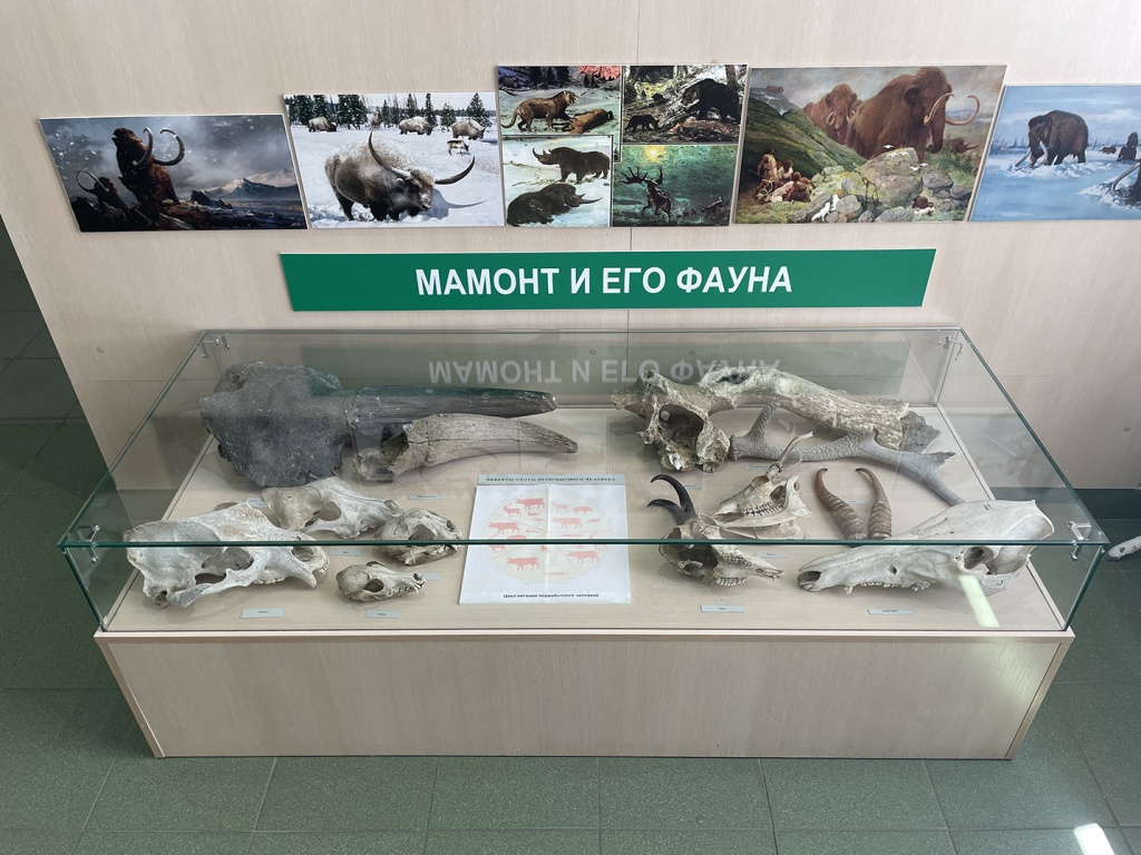 Мамонт и его фауна.jpeg