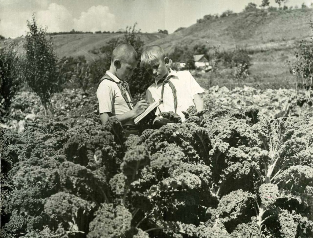 5. Члены Григорополисской ученической бригады за работой. 1958 г..jpg