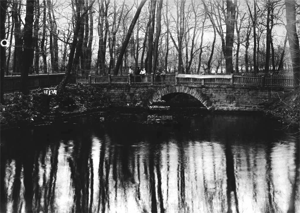 5. Негатив. Пруд в Воронцовском городском саду..jpg