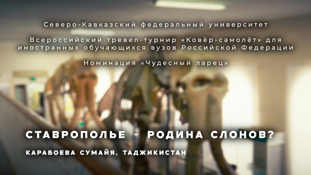 Ставропольский музей глазами иностранных студентов