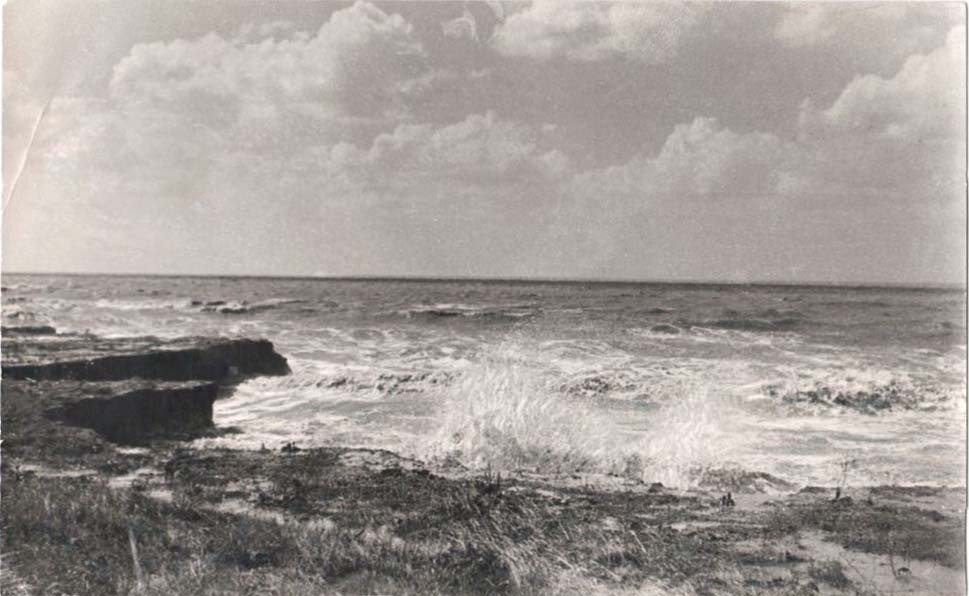 оз. Маныч-Гудило. Северное побережье. 1936-1970-е гг. Из личного архива В.Г. Гниловского.jpg