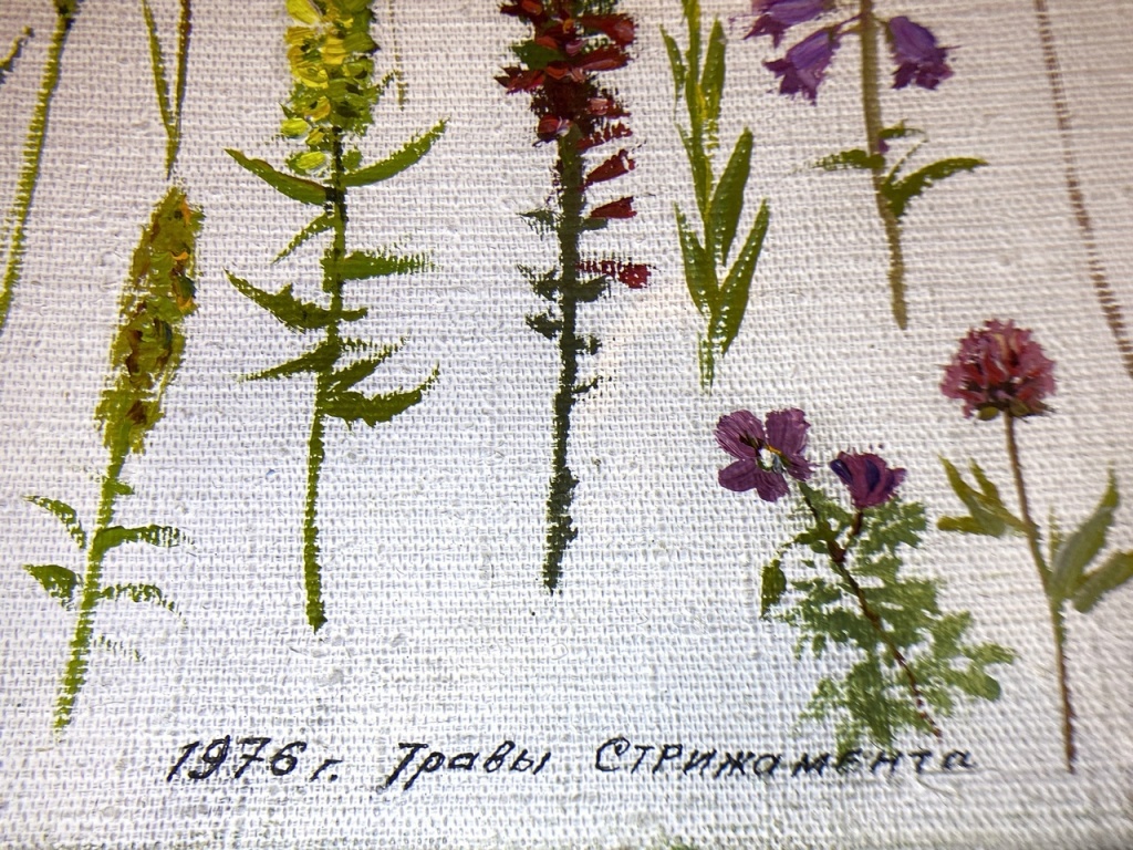10 Цветы луговой степи. Стрижамент. 20 июня 1976 г. Картон масло. Из фондов Ставропольского музея-заповедника.jpg