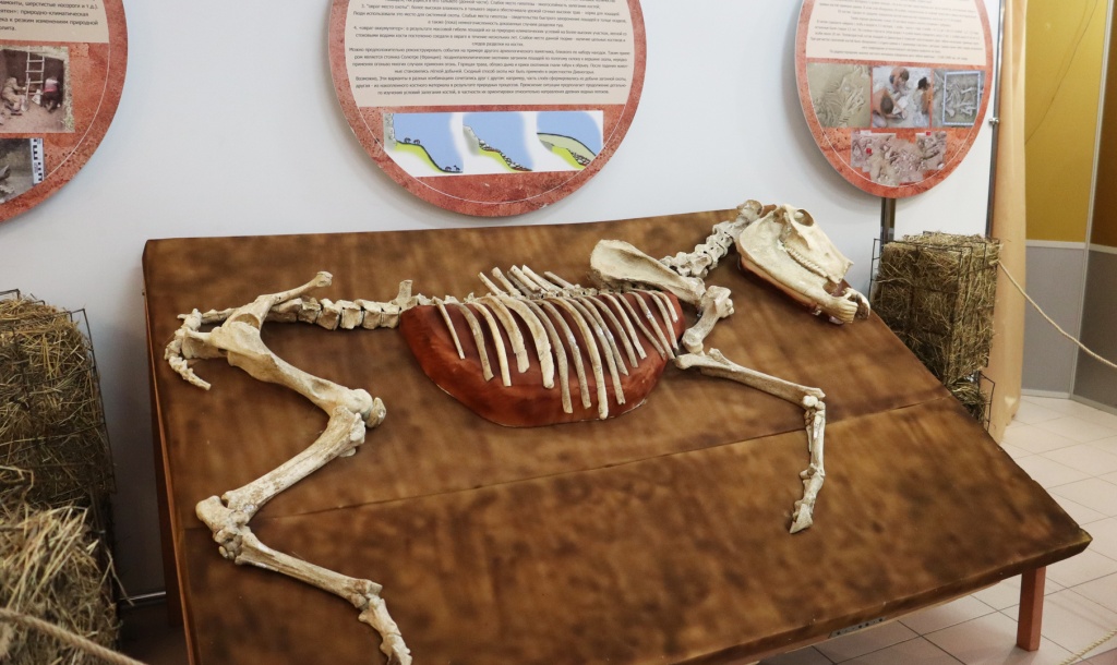 Выставка «Лошадь. Equus. Hippos»