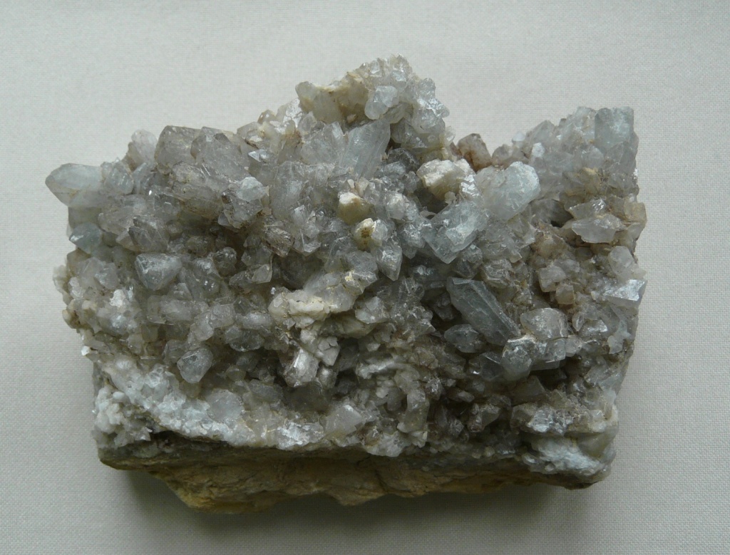 05.JPG